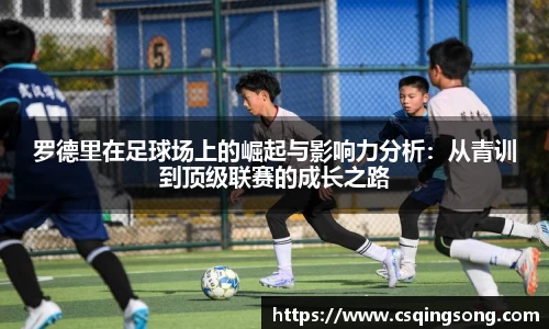 罗德里在足球场上的崛起与影响力分析：从青训到顶级联赛的成长之路